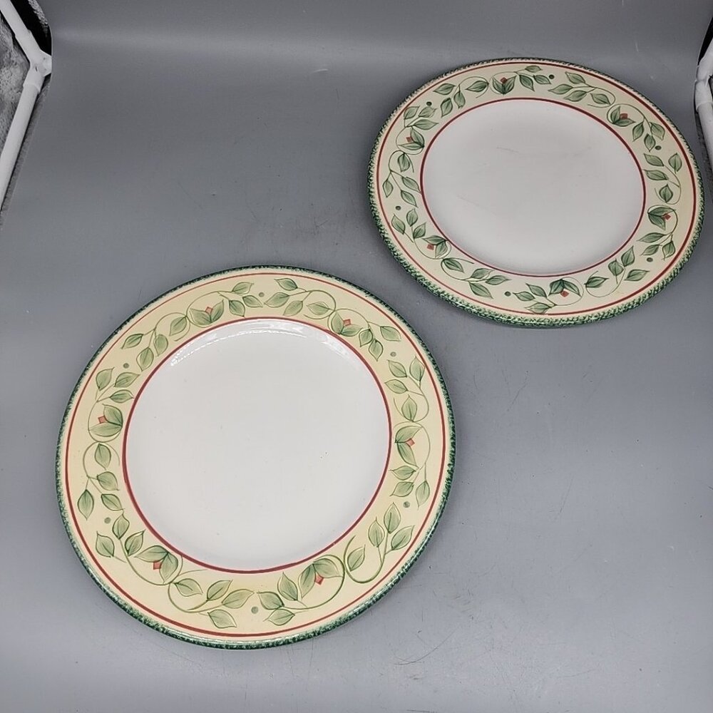 Garden District by PFALTZGRAFF Dinner Plate 10 3/4 in Green Yellow Vine Set Of 2